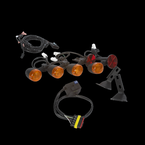 Sistem Electric